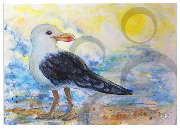 Seagull - Gull (591x591), Png Download