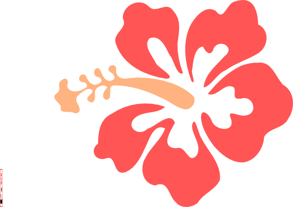 12 - Hawaiian Flower Vector Png (600x424), Png Download