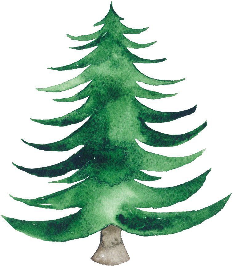 Hand Painted Watercolor Christmas Tree Transparent - Gerahmtes Poster Pine Tree Marmont Hill (1024x1024), Png Download