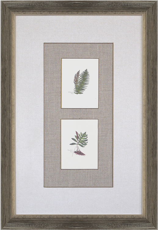 Gracie Oaks 'ferns' 2 Piece Graphic Art Print Set (750x750), Png Download