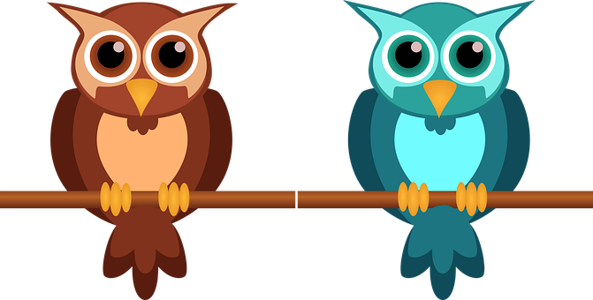 Owl Cute Nocturnal Bird Animal Design Cart - นก ฮูก การ์ตูน น่า รัก (671x340), Png Download