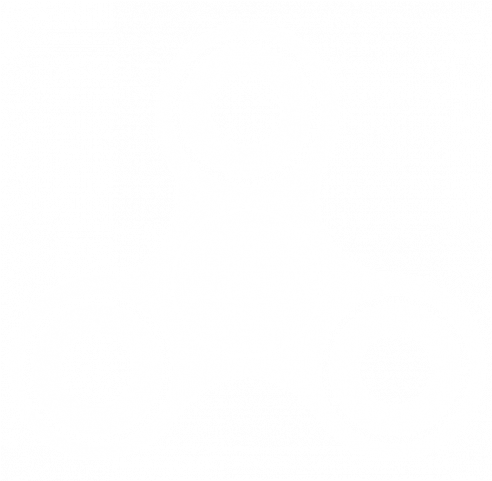 Circle (491x491), Png Download