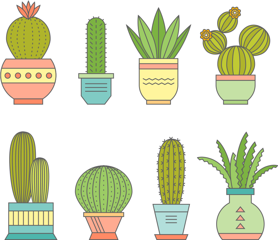 Vector Free Library Iphone G Cactaceae A Bowl Of Flowers - 多肉 植物 手繪 (1000x1000), Png Download