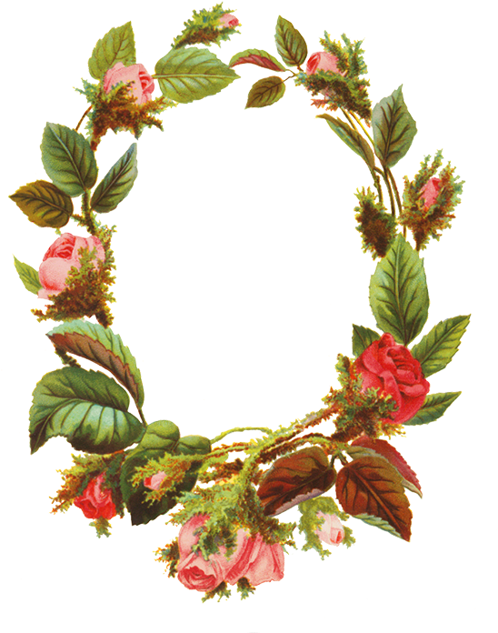Violet Frame, Roses Making A Flower Frame - Molduras De Flores Png (565x709), Png Download