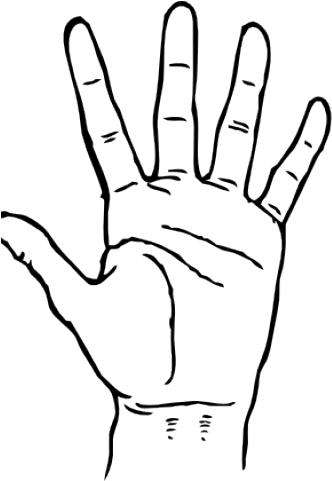 Peace Sign Clipart Ok Hand Sign - Clip Art Palm Of Hand (640x480), Png Download