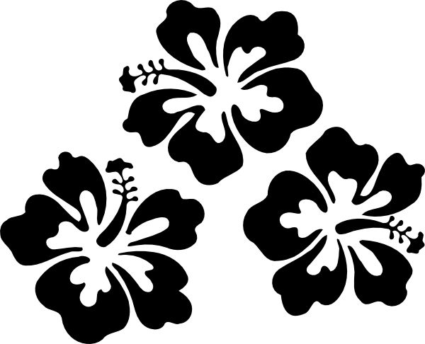 Small - Hibiscus Clip Art (600x486), Png Download