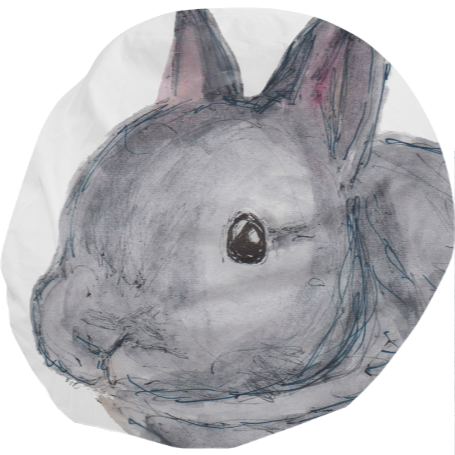 Bunny Doodle Bean Bag $180 - Angora Rabbit (455x455), Png Download