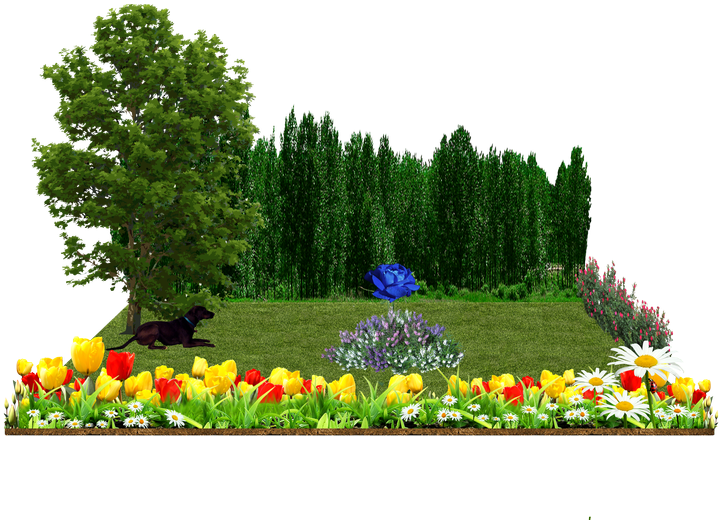 Photo Plants And Shrubs Via Hanging Garden - Psd Garden Landscape (800x550), Png Download
