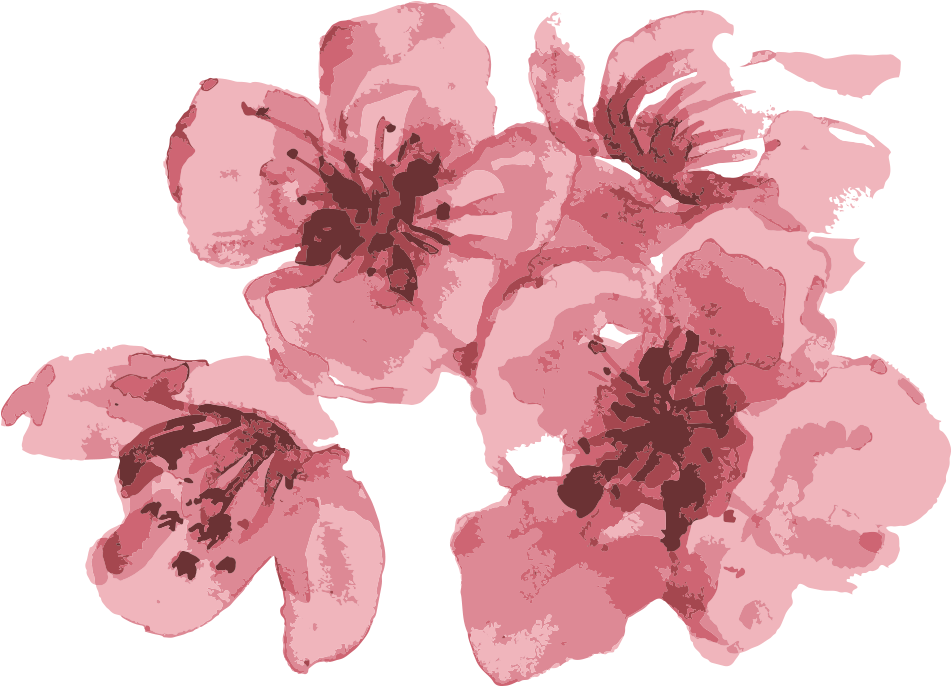 Visit Our Event Site - Cherry Blossom (1000x719), Png Download