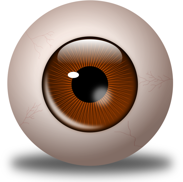 Brown Eyes Clipart Brown Eyeball - Eye (800x800), Png Download