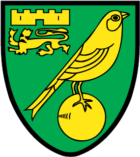Norwich City Fc Badge (640x480), Png Download
