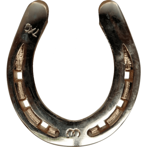 Free Png Horseshoe Png Images Transparent - Horseshoe (480x480), Png Download