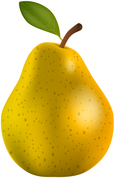 Jpg Black And White Png Gallery Yopriceville High Quality - Pear Clipart (389x600), Png Download