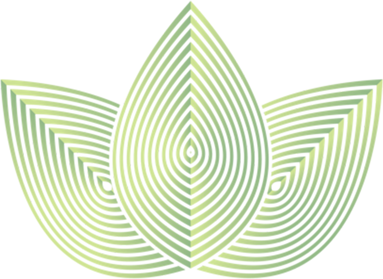 Hard Bristle Pipe Cleaners - Zen Leaf (1512x1512), Png Download