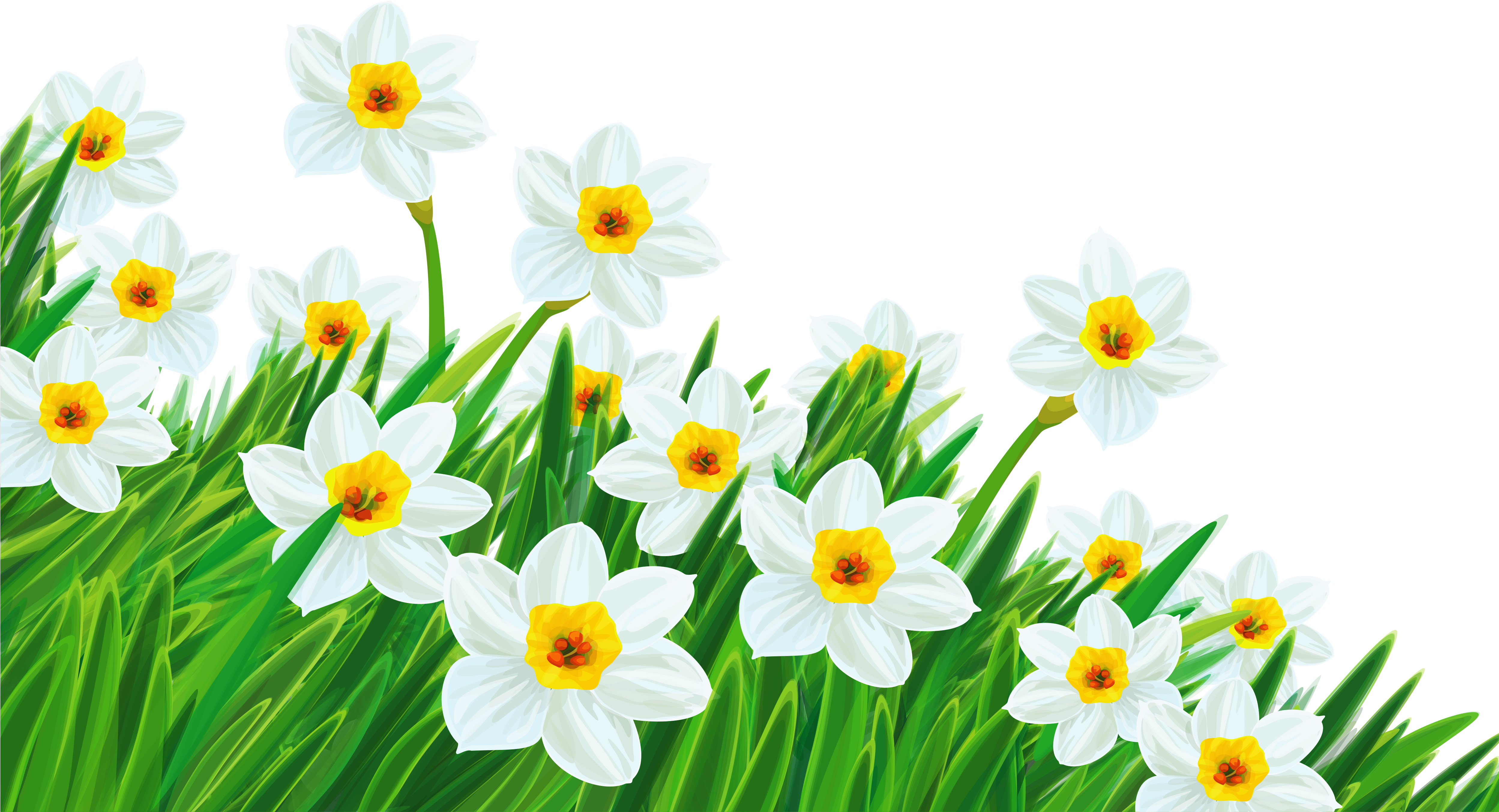 Spring - Spring Flowers No Background (5000x2970), Png Download