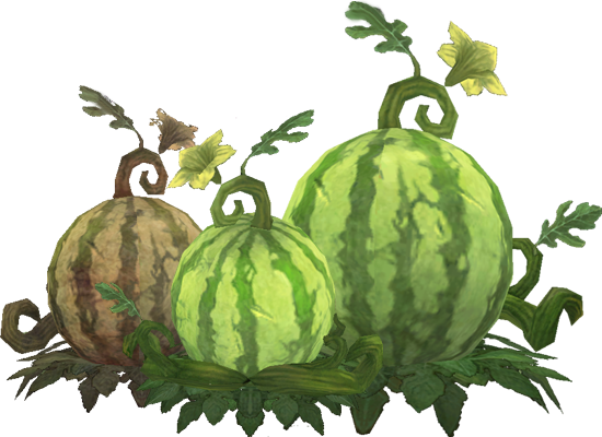 Transparent Leaves Watermelon - Watermelon Patch Clipart (550x400), Png Download