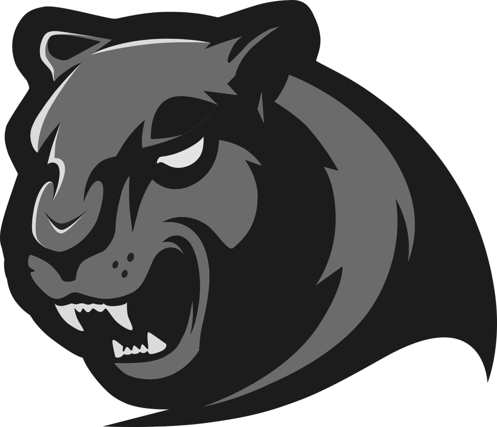Panthers Logo Png - Cat (1024x881), Png Download
