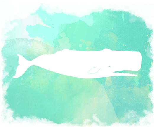 Click And Drag To Re-position The Image, If Desired - Beluga Whale (583x700), Png Download