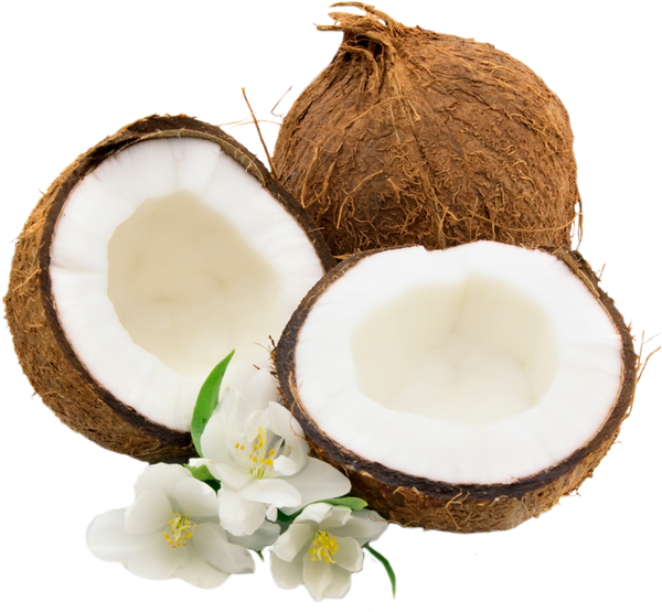 Imagenes De Coco Png - Oakland Gardens Wedding & Home Decor Caribbean (600x555), Png Download