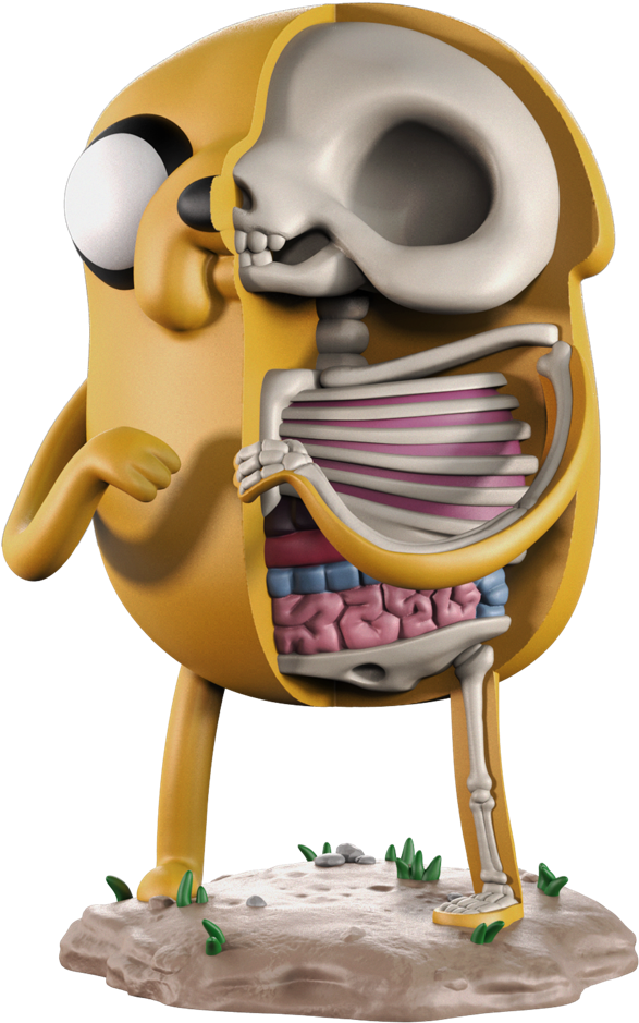 Jake And Finn Skeleton (1000x1000), Png Download