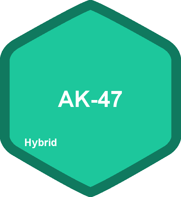 Ak-47 - Sign (600x654), Png Download