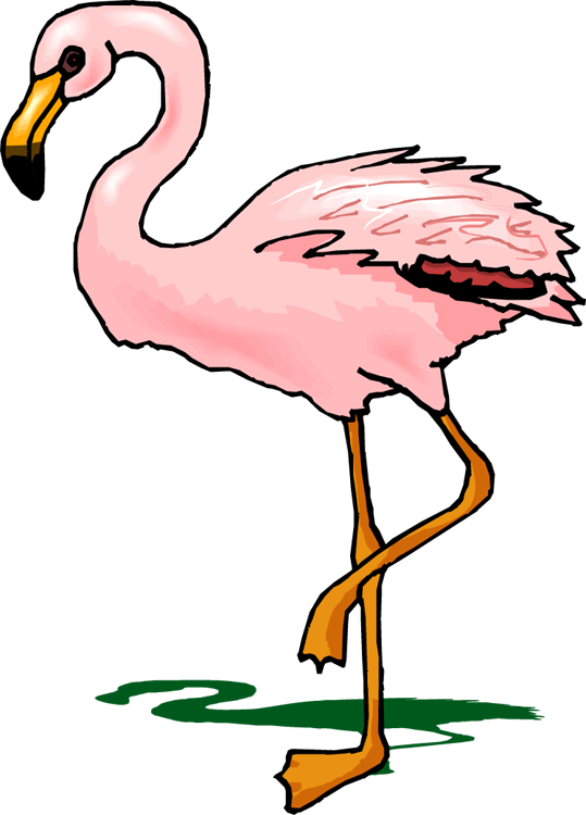 Flamingo Clipart - Reading Comprehension About Animals Grade 2 (539x750), Png Download