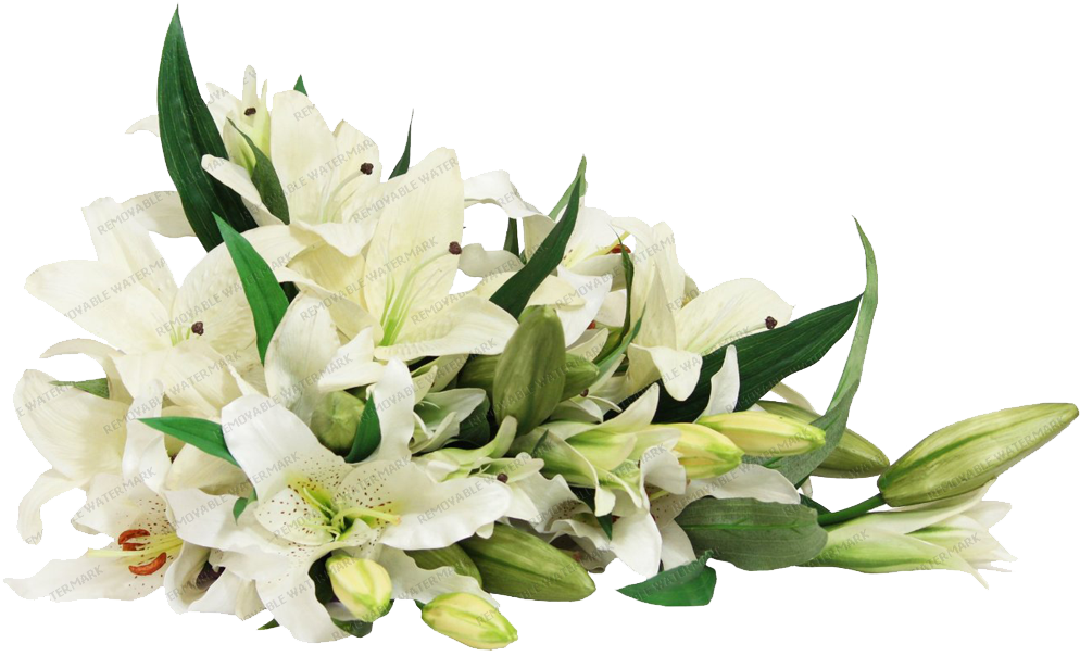 White Lily Bouquet - Kabloom - Fresh Flowers: Bouquet Of 13 White Oriental (1000x1000), Png Download