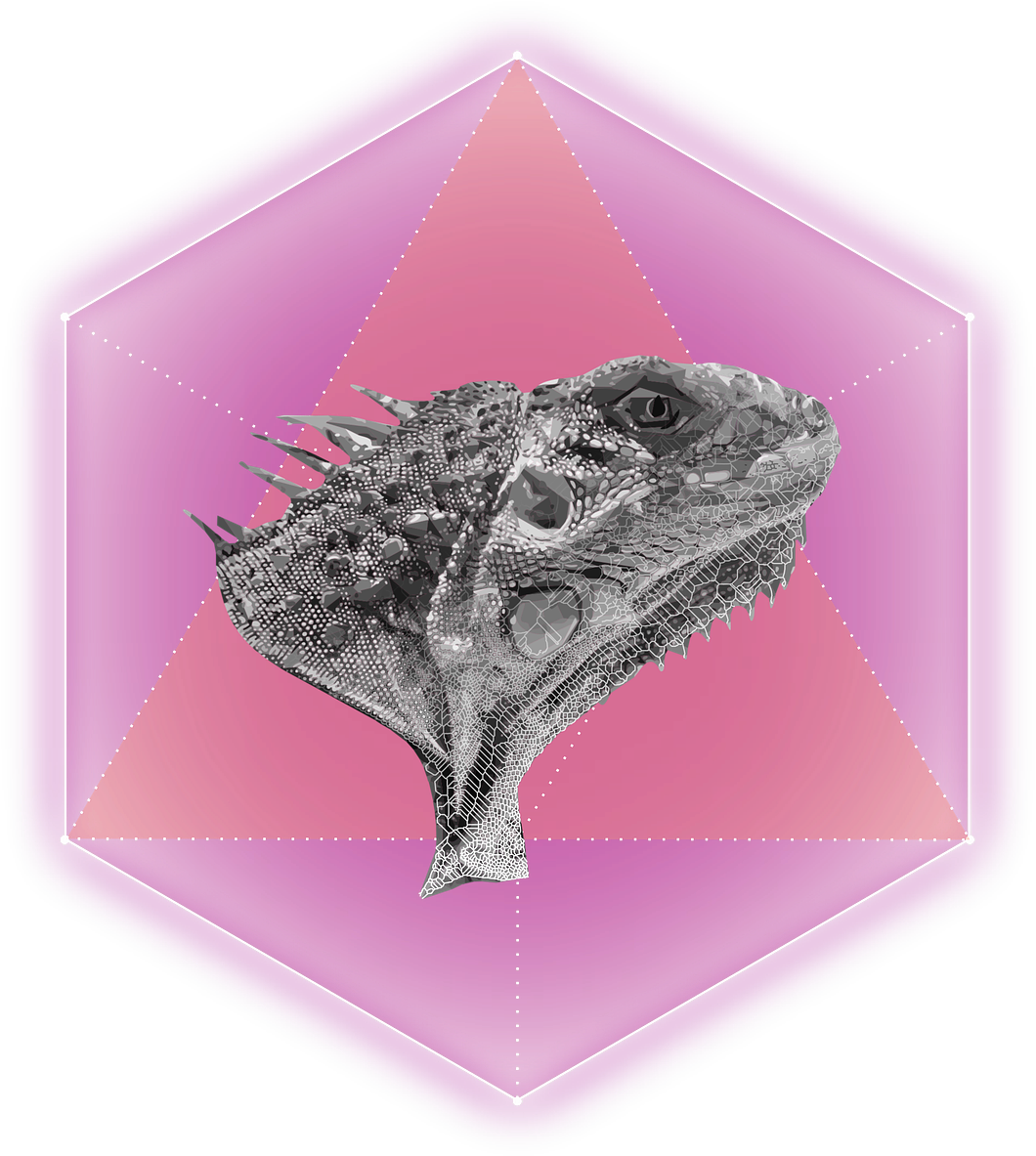 Lizard Hexagon Rosa - Emblem (1140x1280), Png Download