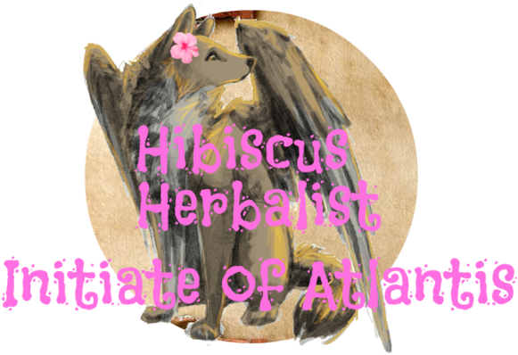 Hibiscus - Photo Caption (640x400), Png Download