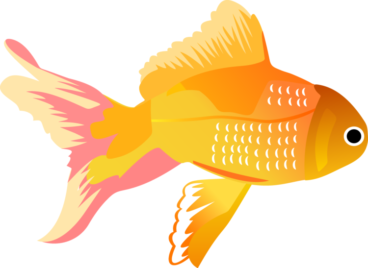 Publicat De Eu Ciresica La - Vector Fish (750x547), Png Download