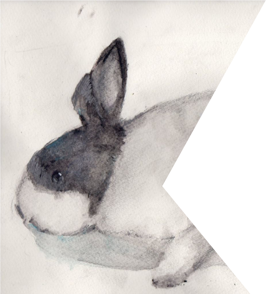 關於網站 - Cat Fish (1028x1024), Png Download