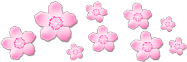 Pink Pinkflowers Flowers Crown Cute Sticker Tumblr - Pink Flower Aesthetic Png (1024x740), Png Download