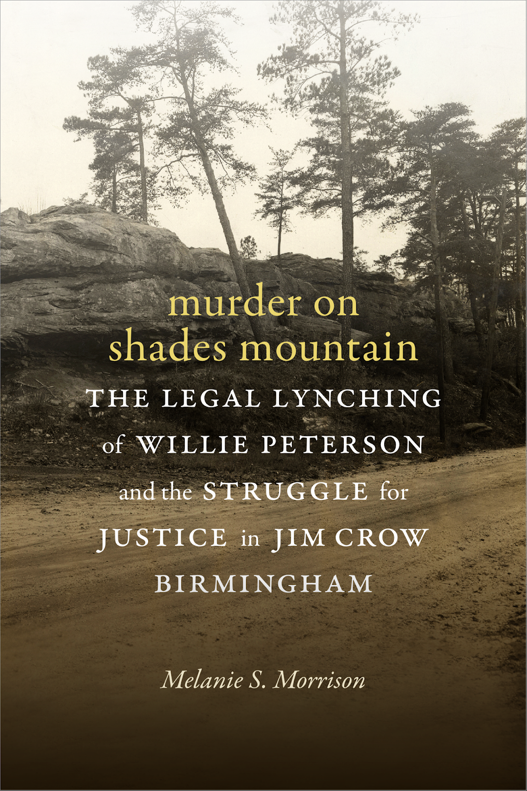 Eight Years Ago, I Set Out On A Journey To Learn Everything - Murder On Shades Mountain (1067x1600), Png Download