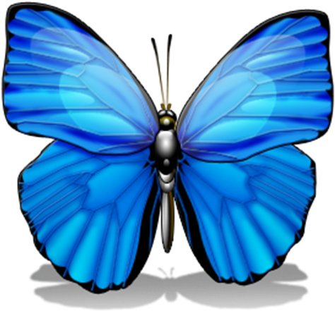 Butterfly Kisses, Blue Butterfly, Monarch Butterfly, - Line Of Symmetry In Animals (500x500), Png Download