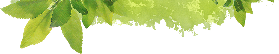 Website Design By - Leaf Web Design (1161x233), Png Download