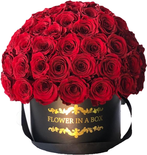 Deluxe Rose Arrangement - Flower (558x690), Png Download