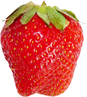 Drawn Strawberry Transparent Background - Strawberry Transparent Png (350x391), Png Download