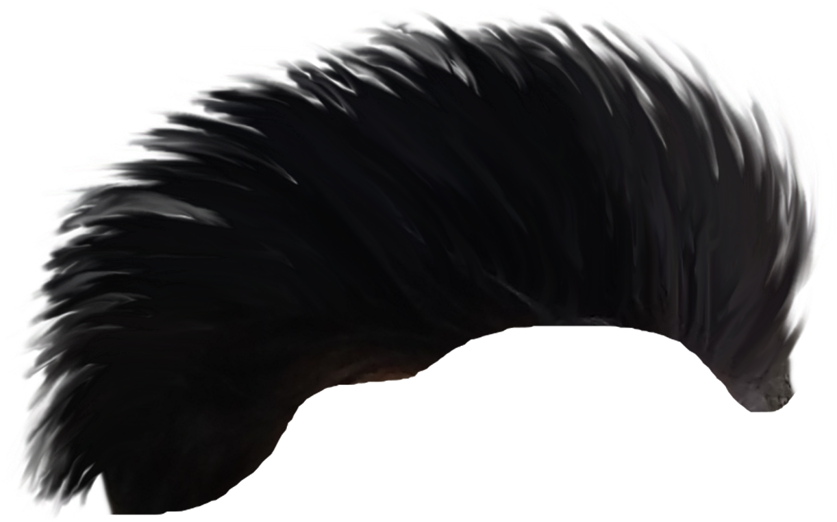 Hair Png - Picsart Photo Studio (1600x761), Png Download