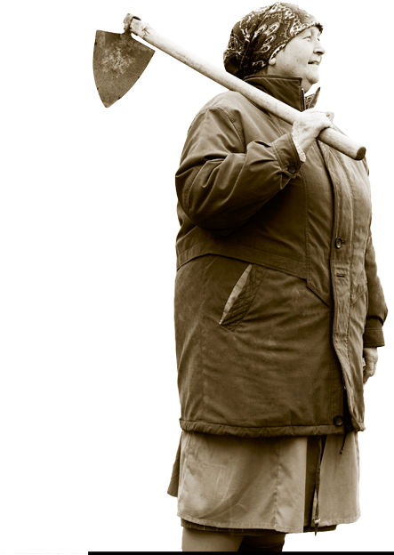 Human Dignity, Solidarity, Environmental Sustainability, - Hatchet (442x800), Png Download