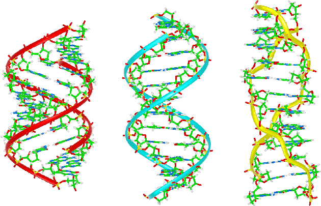 Australia Court Upholds Patent On Human Genetic Material - Dna Pretty (640x417), Png Download