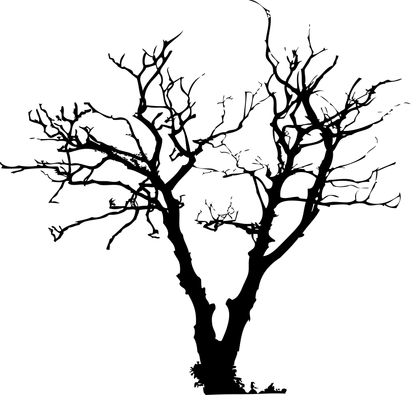 Cing Real Trees With Illustrator And Tuningthem Into - Guitar Bag Design (809x778), Png Download