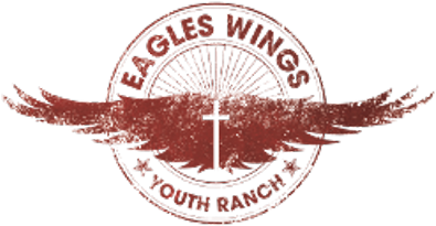 Eagles' Wings - Emblem (400x400), Png Download