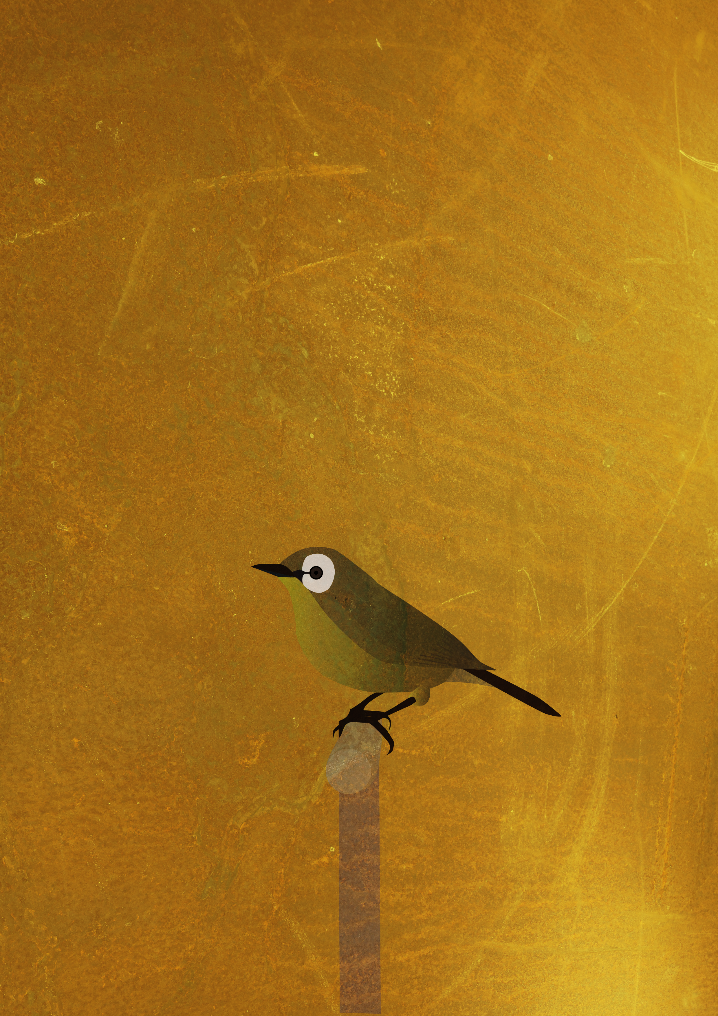 Nightingale (2480x3508), Png Download