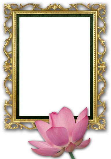 Send Flowers - Funeral Photo Frame Png (417x600), Png Download