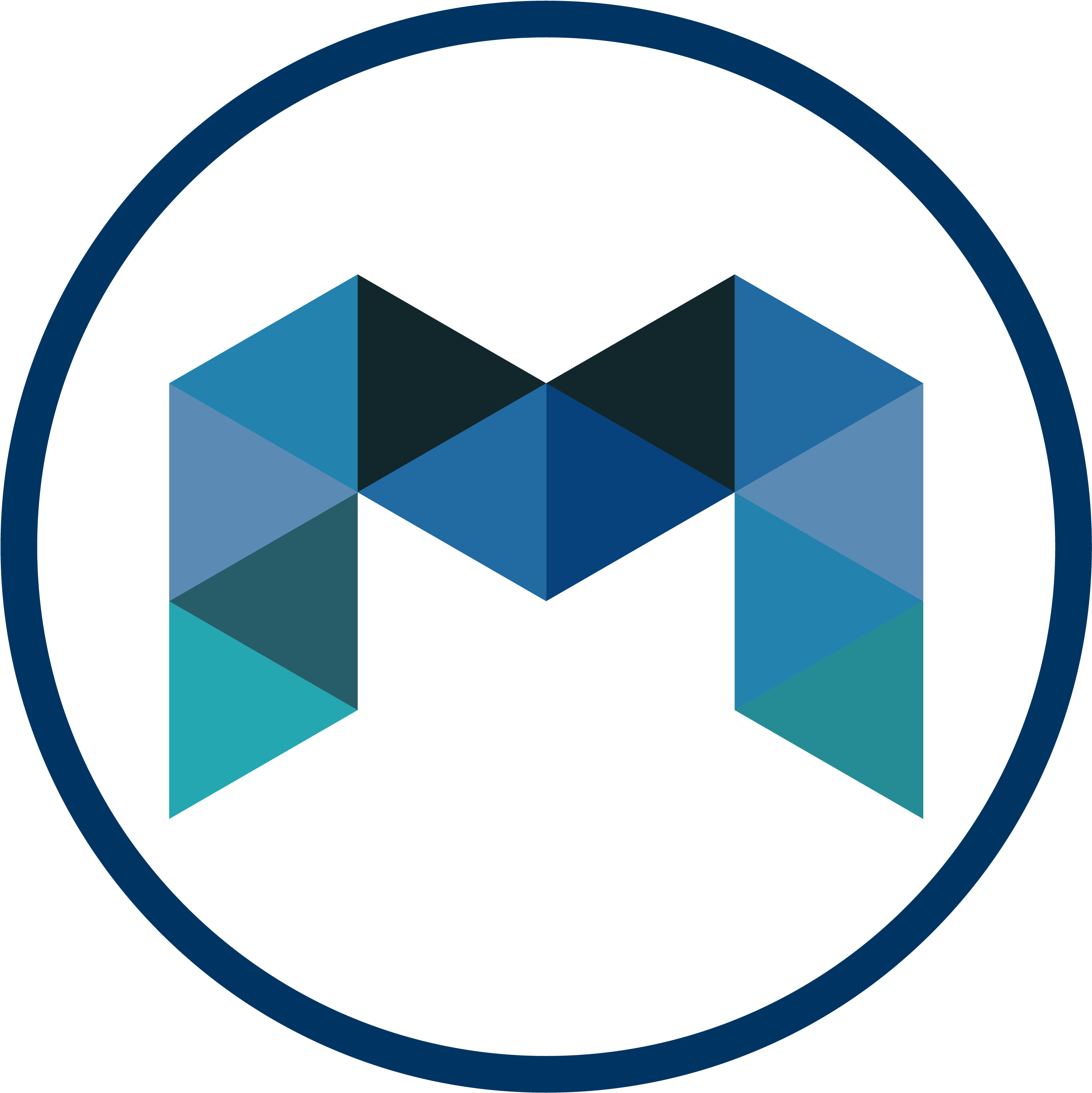 Medical Imaging Software - Circle (3385x3300), Png Download