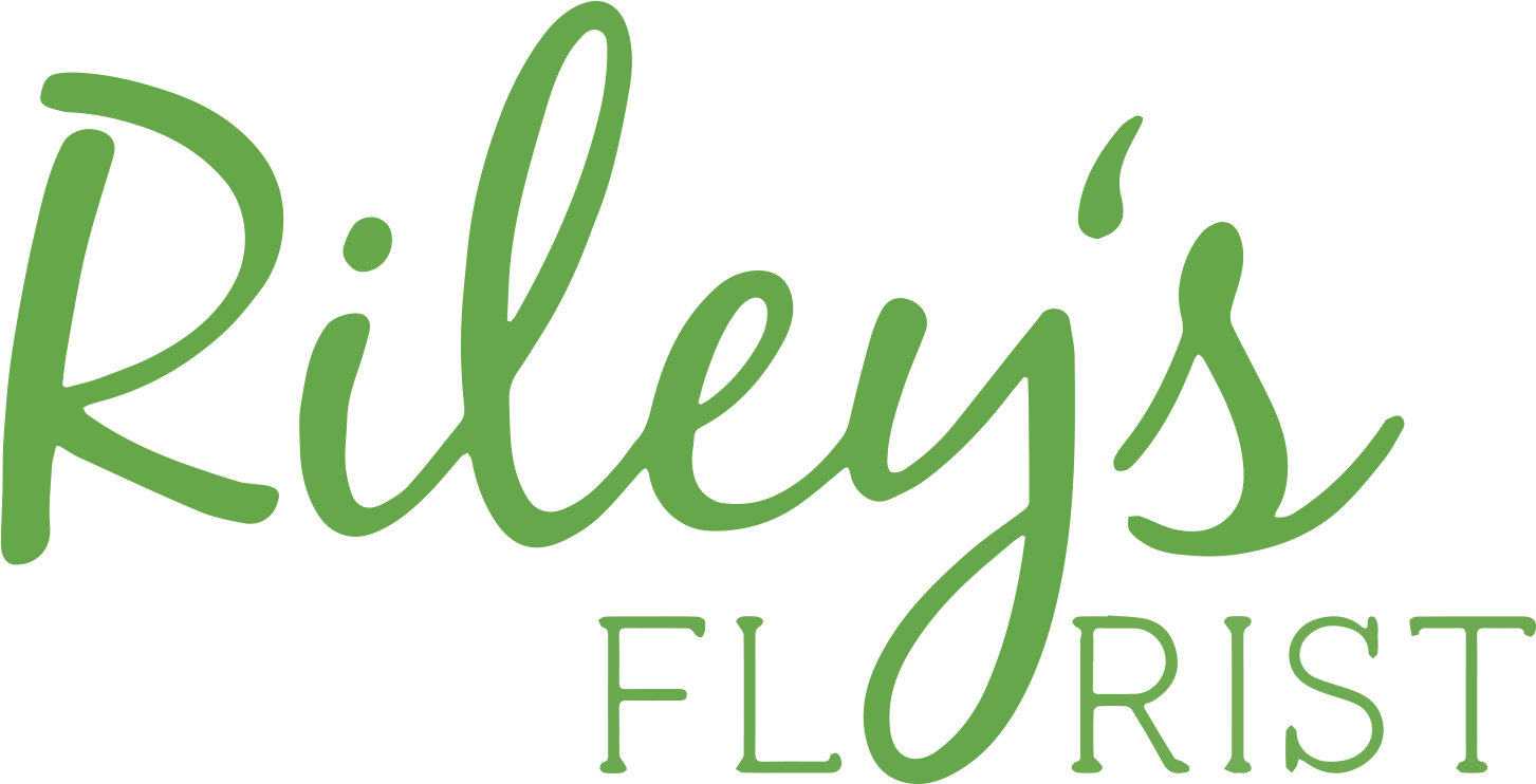 St Louis, Mo Florist - Marble Painting Rainbow (1516x800), Png Download