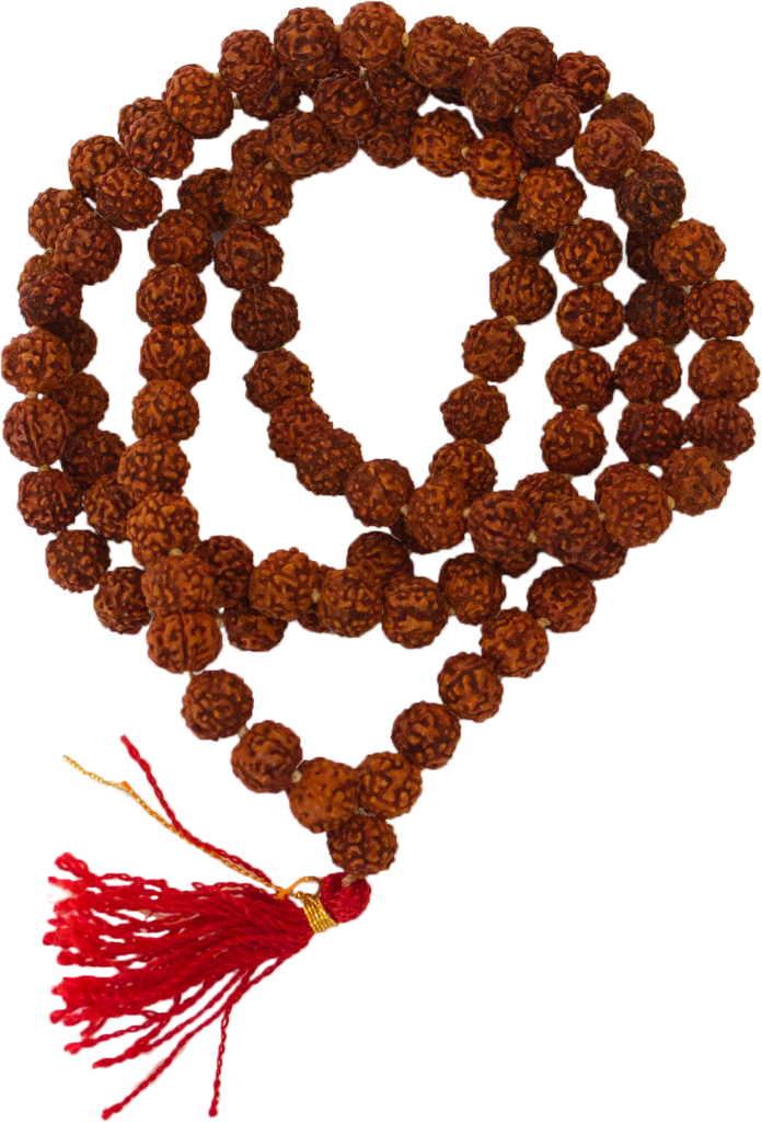 Rudraksha Knotted Mala (696x1024), Png Download