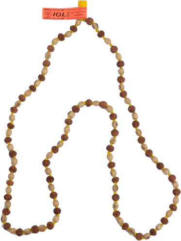 Combined Tulsi And Rudraksh Mala (500x500), Png Download
