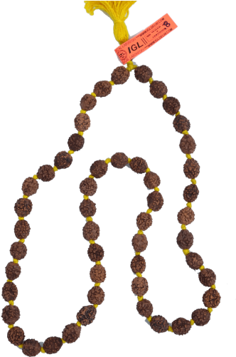 Bead (500x500), Png Download