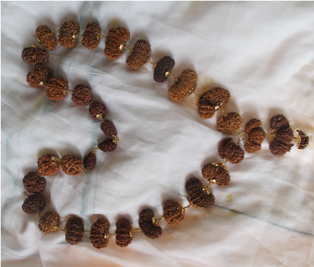 Indra Mala Rudraksha Collection - Indra Mala (600x375), Png Download